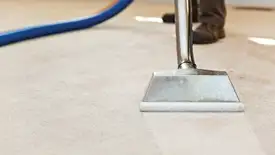 Carpet cleaning wand head gliding over a light carpet during hot-water extraction, Spokane, WA.